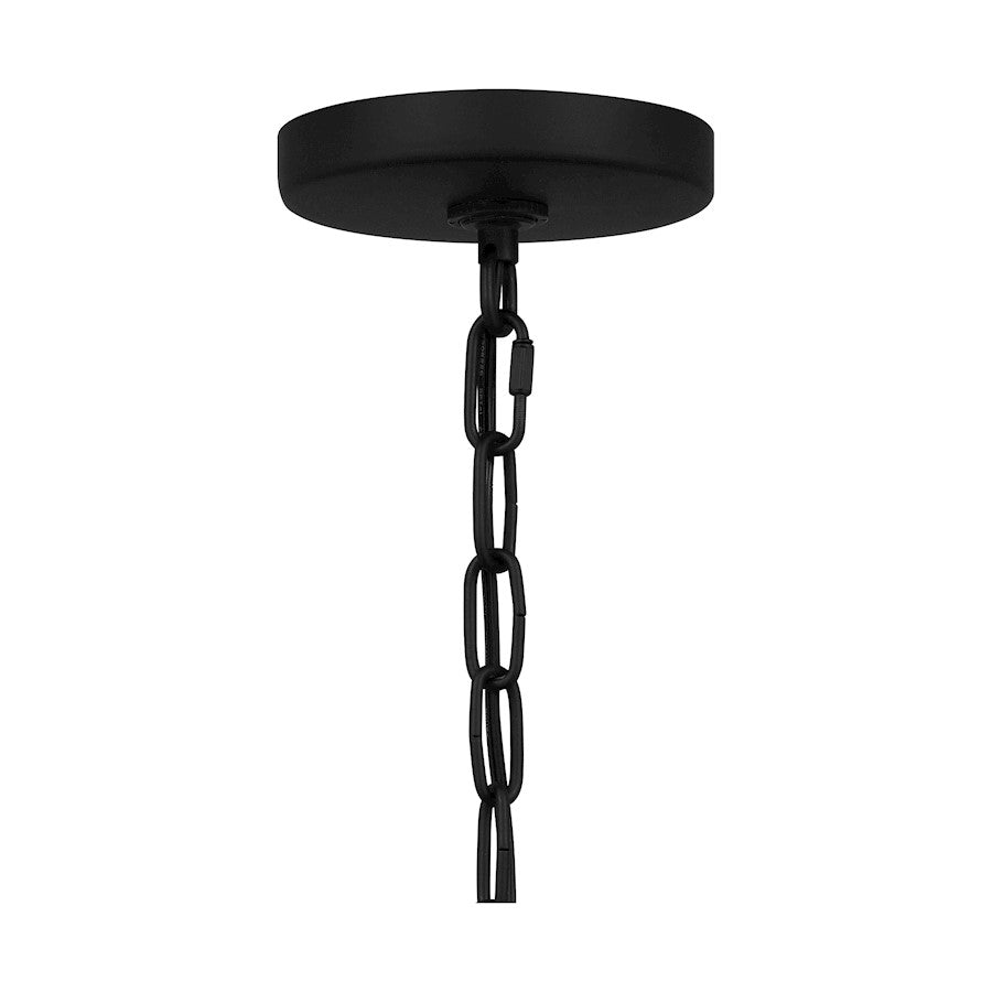 Brampton 1 Light 17" Outdoor Lantern, Matte Black/Clear