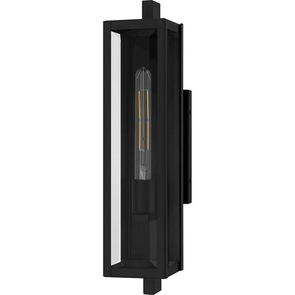 Dale 1Lt 20" Outdoor Lantern, Black/Clear Beveled