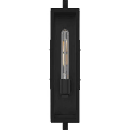 Dale 1Lt 20" Outdoor Lantern, Black/Clear Beveled