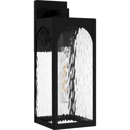 Dallington 1Lt 17" Outdoor Lantern, Black/Clear Textured