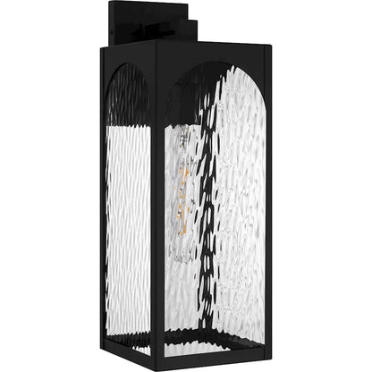 Dallington 1Lt 20" Outdoor Lantern, Black/Clear Textured