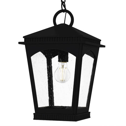 Huck 1Lt 18" Outdoor Lantern, Earth Black/Clear Seedy