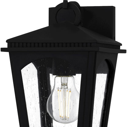 Huck 1Lt 11" Outdoor Lantern, Earth Black/Clear Seedy