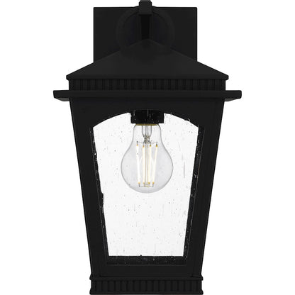 Huck 1Lt 13" Outdoor Lantern, Earth Black/Clear Seedy