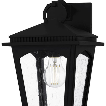 Huck 1Lt 13" Outdoor Lantern, Earth Black/Clear Seedy