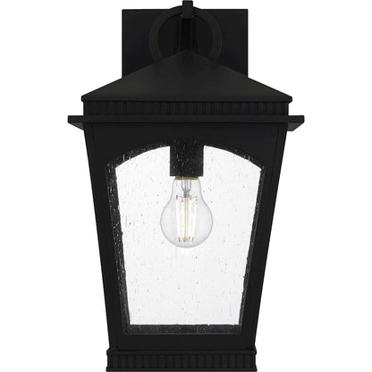 Huck 1Lt 17" Outdoor Lantern, Earth Black/Clear Seedy