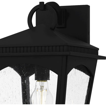 Huck 1Lt 17" Outdoor Lantern, Earth Black/Clear Seedy