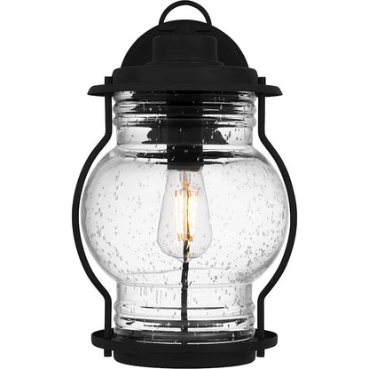 Luther 1 Light 15" Outdoor Lantern, Black/Clear Seedy Glass