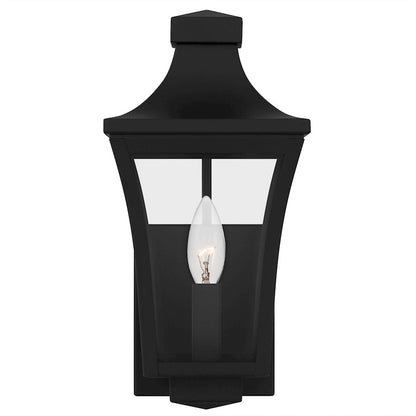 Quentin 1Light Outdoor Lantern, Earth Black/Clear Glass