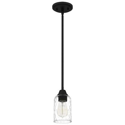 Acacia 1 Light Mini Pendant, Clear Water