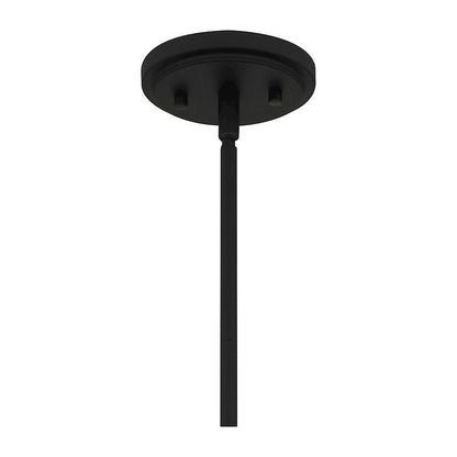Acacia 1 Light Mini Pendant, Clear Water