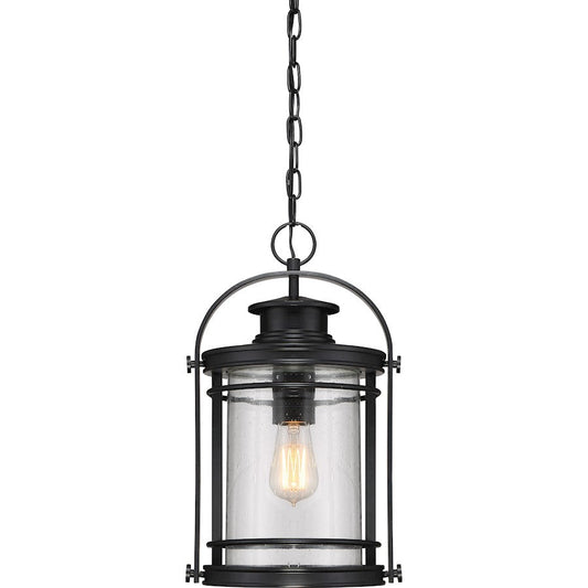 Booker 1 Light Mini Pendant, Mystic Black/Clear Seeded