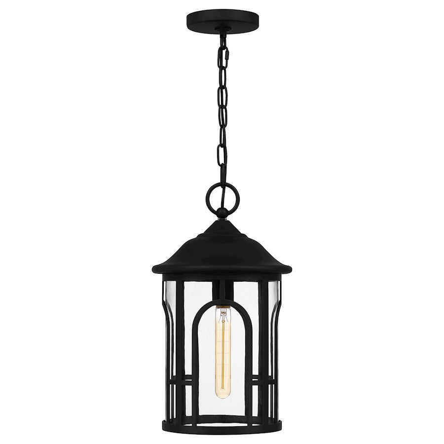 Brampton 1 Light 17" Outdoor Lantern, Matte Black/Clear