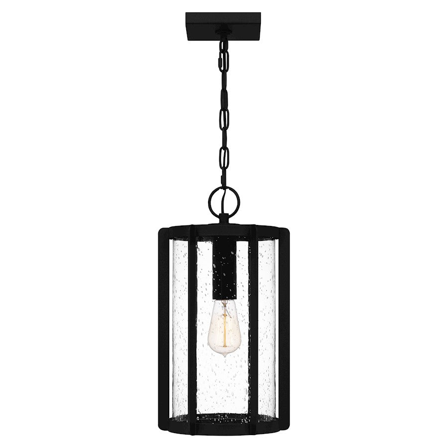 Hazel 1 Light 17" Outdoor Lantern, Earth Black/Clear Seeded