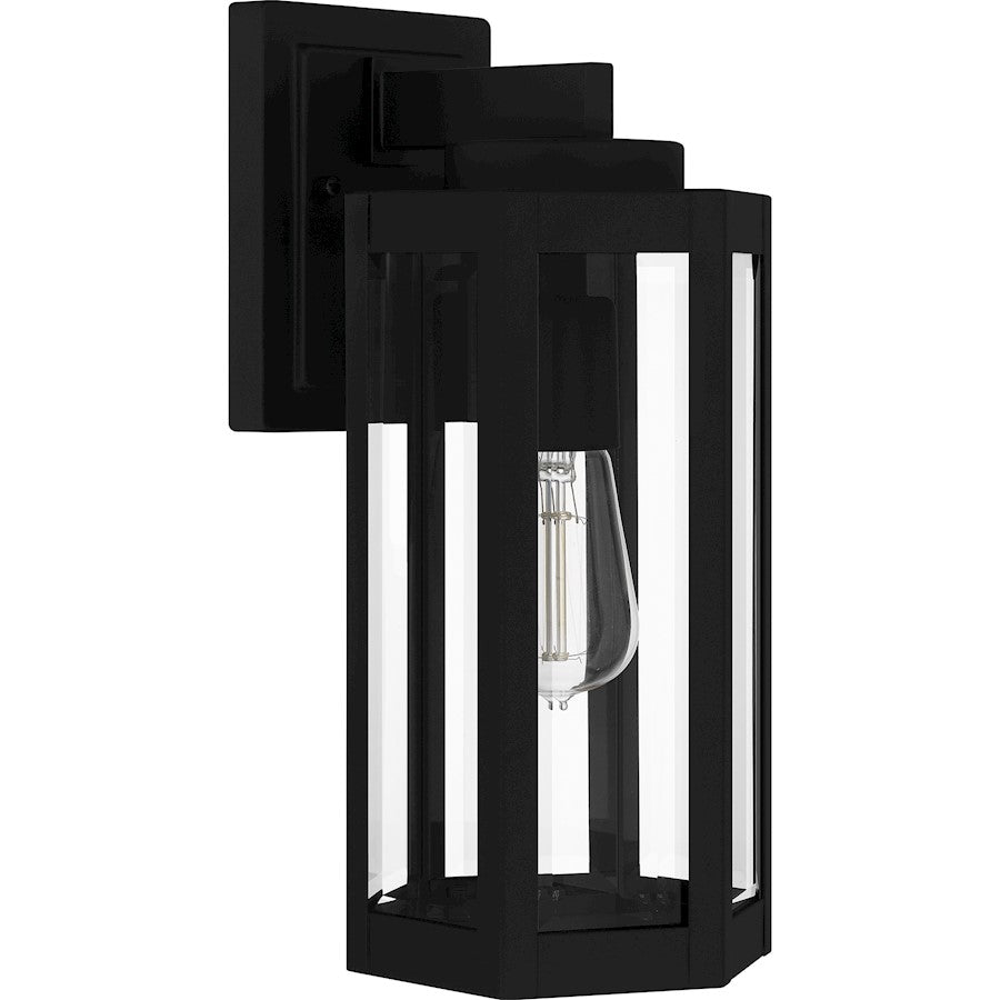 Mesnick 1 Light Outdoor Lantern, Black/Clear Beveled
