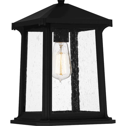 Satterfield 1 Light 15" Outdoor Lantern, Black/Clear Seedy