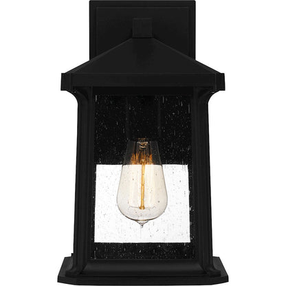 Satterfield 1 Light Outdoor Lantern, Black/Clear Seedy