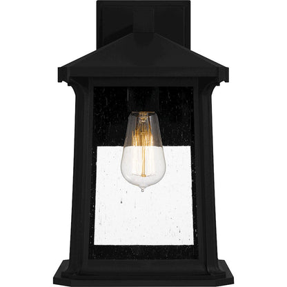 Satterfield 1 Light Outdoor Lantern, Black/Clear Seedy