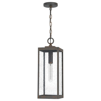 Westover 1 Light Mini Pendant, Clear Seeded